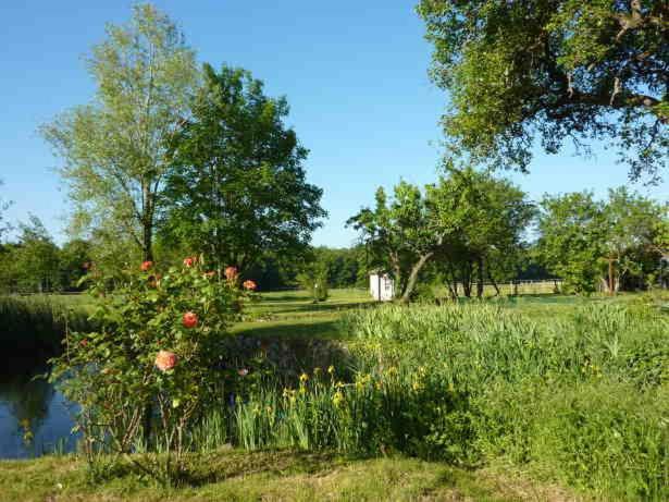 Maison Dans Belle Longere - La Serrerie Le Controis-en-Sologne 外观 照片